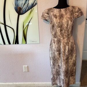 Snake print dress size 6